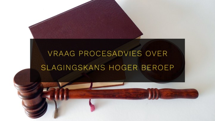 Procesadvies advocaat hoger beroep