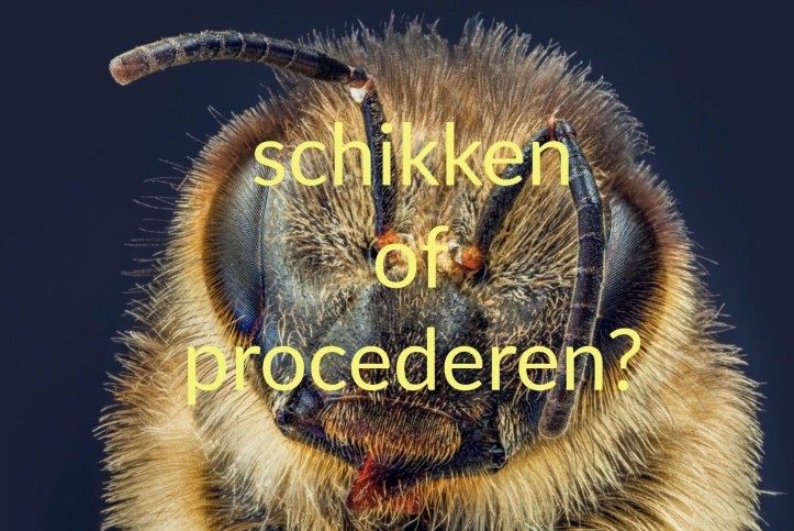 advies advocaat schikking procedure 2