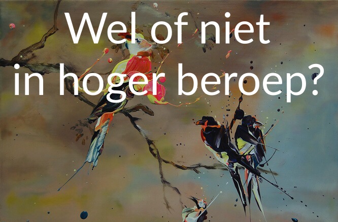 Hoger beroep advocaat