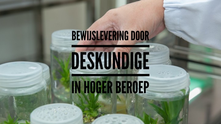 rapport deskundige in hoger beroep procedure