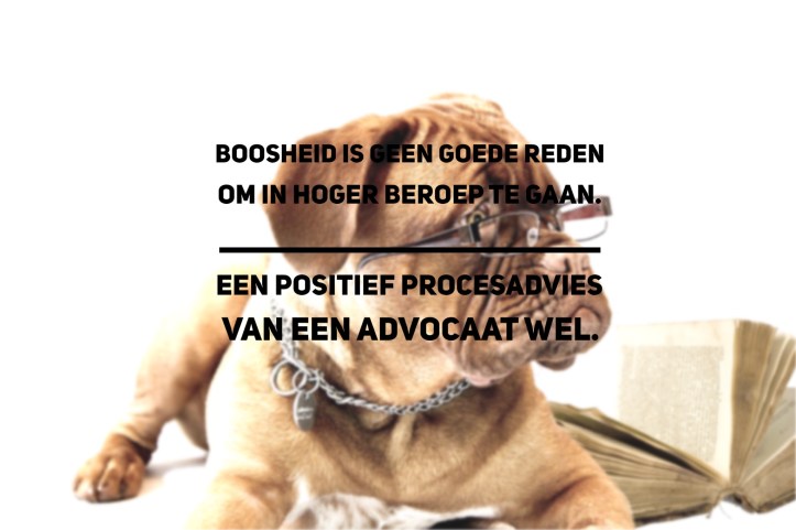 Advies advocaat hoger beroep